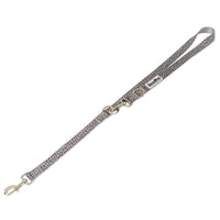 The Modern Dog Company - Walk on the Wild Side Leash - BIG FRENCHIES