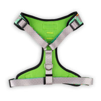 The Modern Dog Company - Pizza Party Harness - BIG FRENCHIES