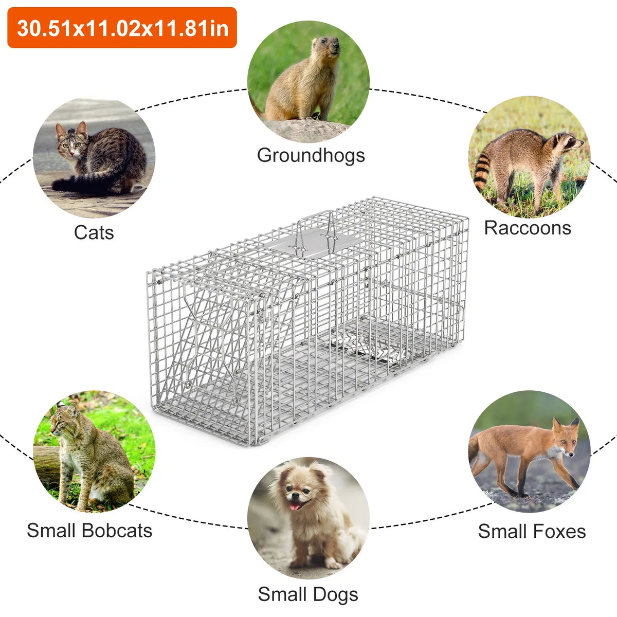 Humane Animal Trap Cage (30.51x11.02x11.81in) - Galvanized Sturdy Wire Mesh, Sensitive Trigger & Dual Doors, Handle Guar