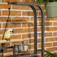 Parrot Stand /Parrot Perch