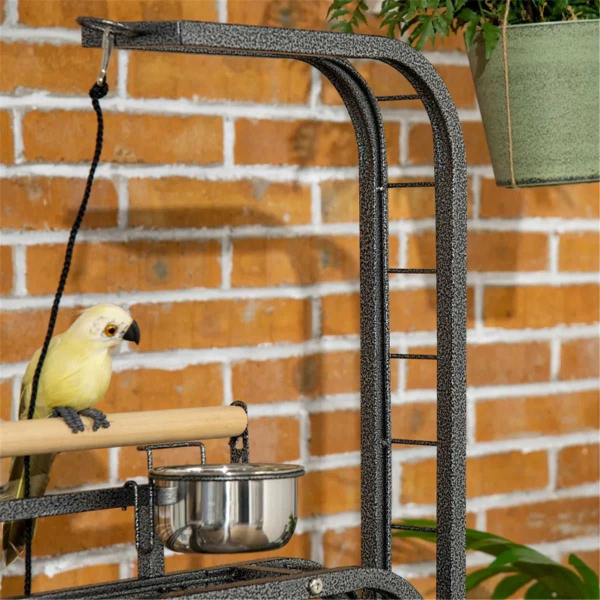 Parrot Stand /Parrot Perch