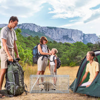 Humane Animal Trap Cage (30.51x11.02x11.81in) - Galvanized Sturdy Wire Mesh, Sensitive Trigger & Dual Doors, Handle Guar