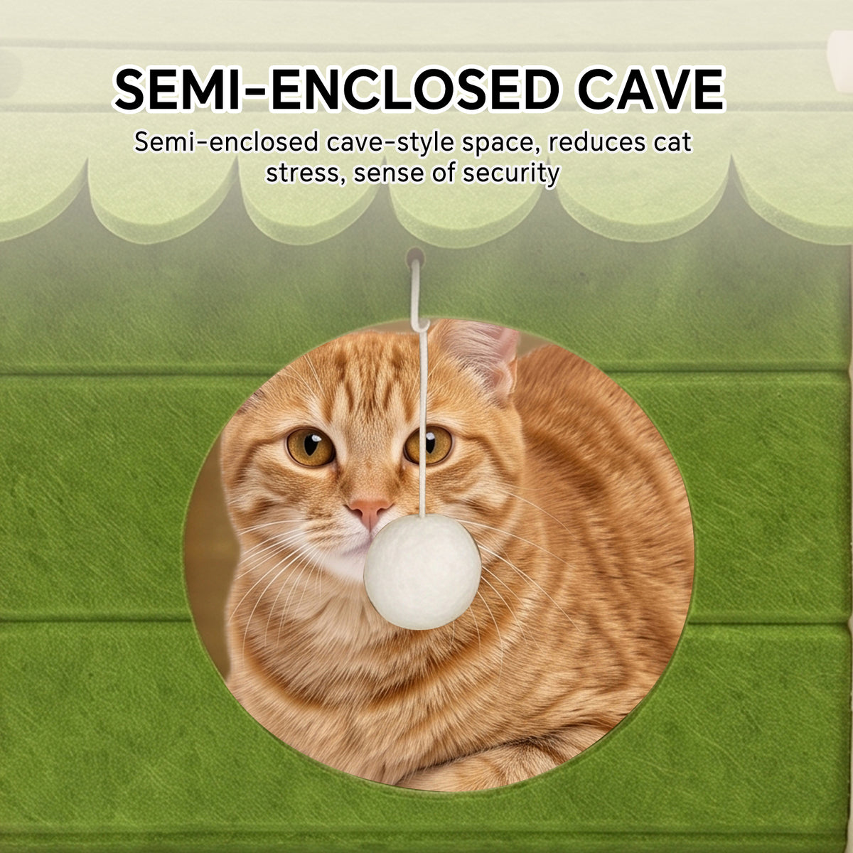 Only Self Pickup---Cat House