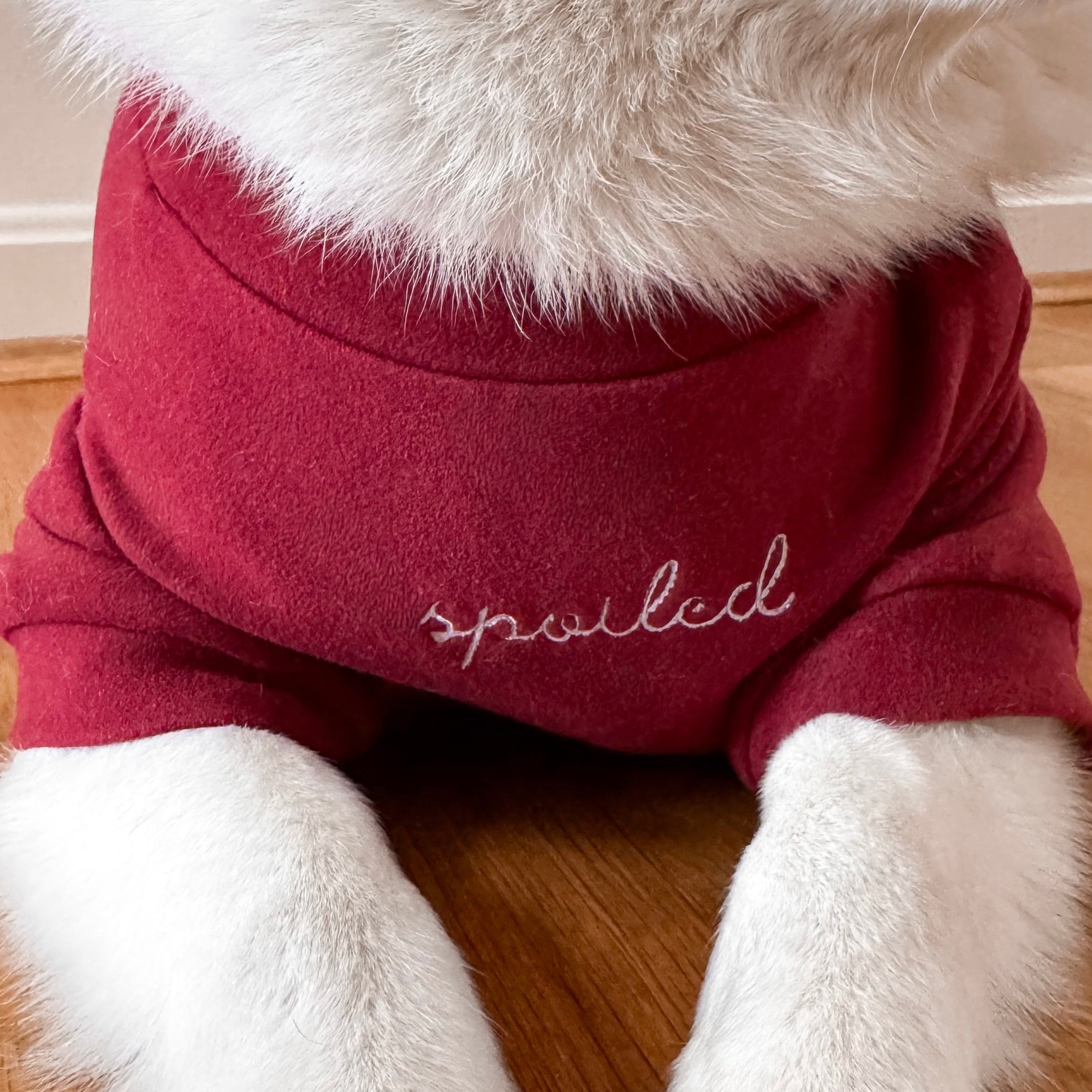 “Spoiled” Mock Neck Shirt - Lucky in Love