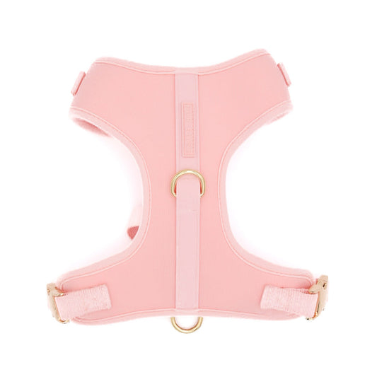The Ultimate Walk Set - Rose