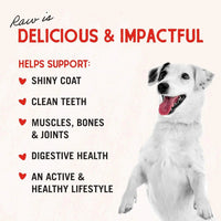 Freeze-Dried Raw Chicken Breast Dog Treats - Single Ingredient, No Additives - Premium Training Treats - Perfect for Picky Eaters - 2.75Oz Bag