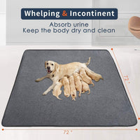 Washable Pee Pads for Dogs - BIG FRENCHIES