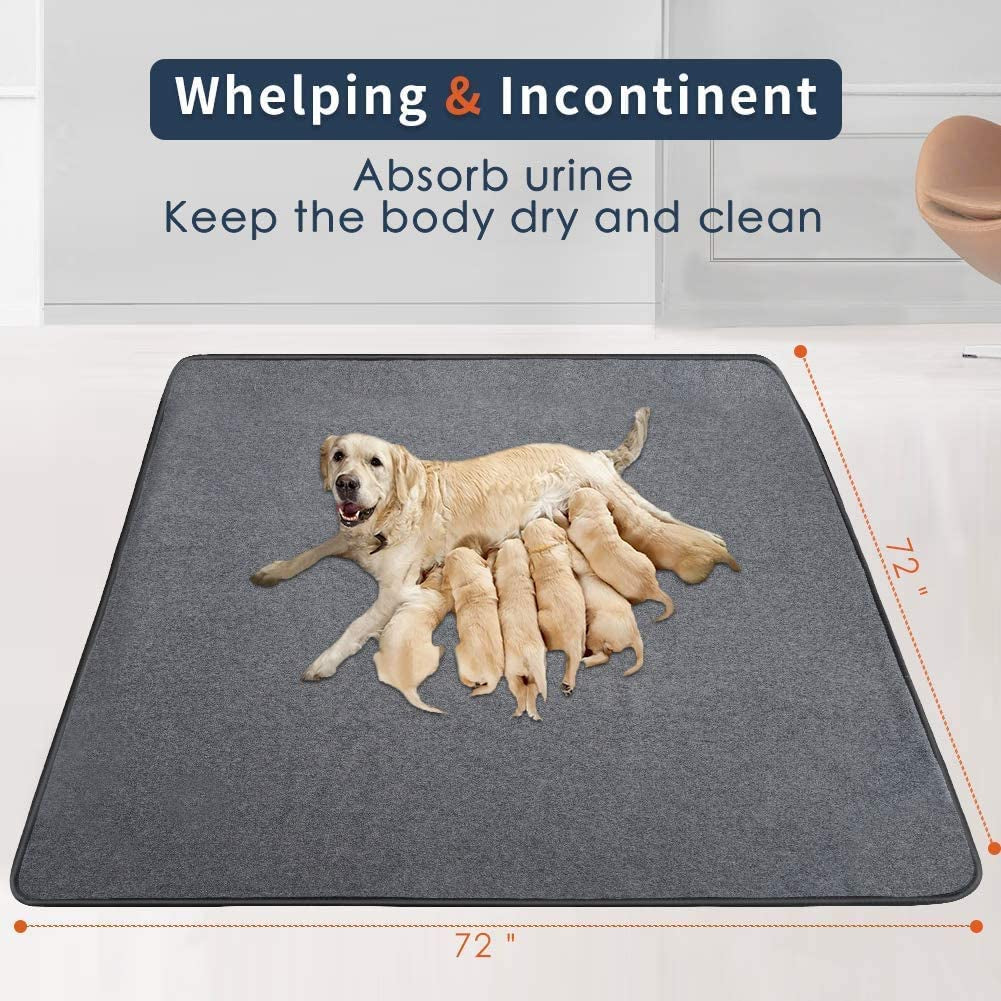 Washable Pee Pads for Dogs - BIG FRENCHIES