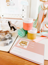 Vet Clinic Dramatic Play