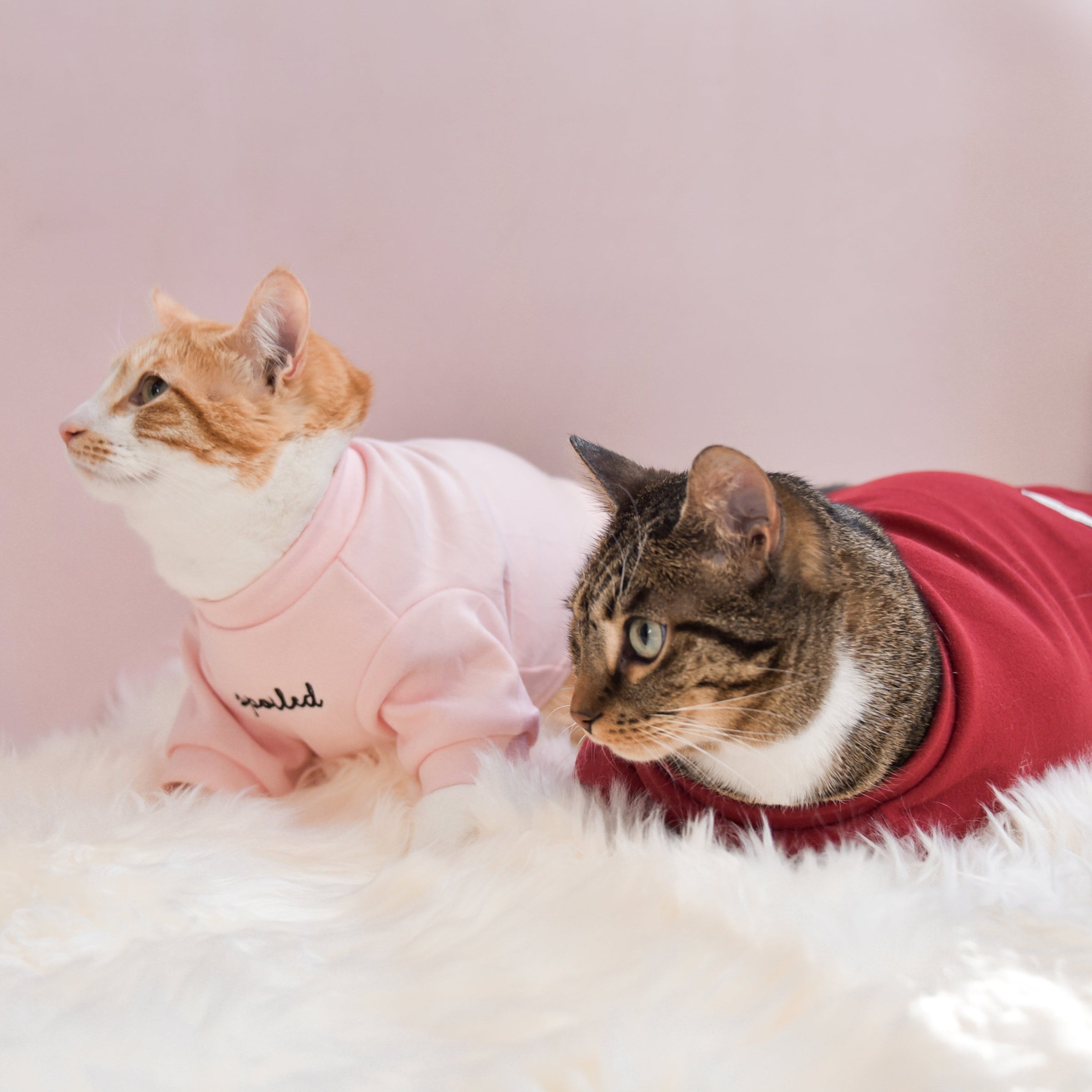 “Spoiled” Mock Neck Shirt - Lucky in Love