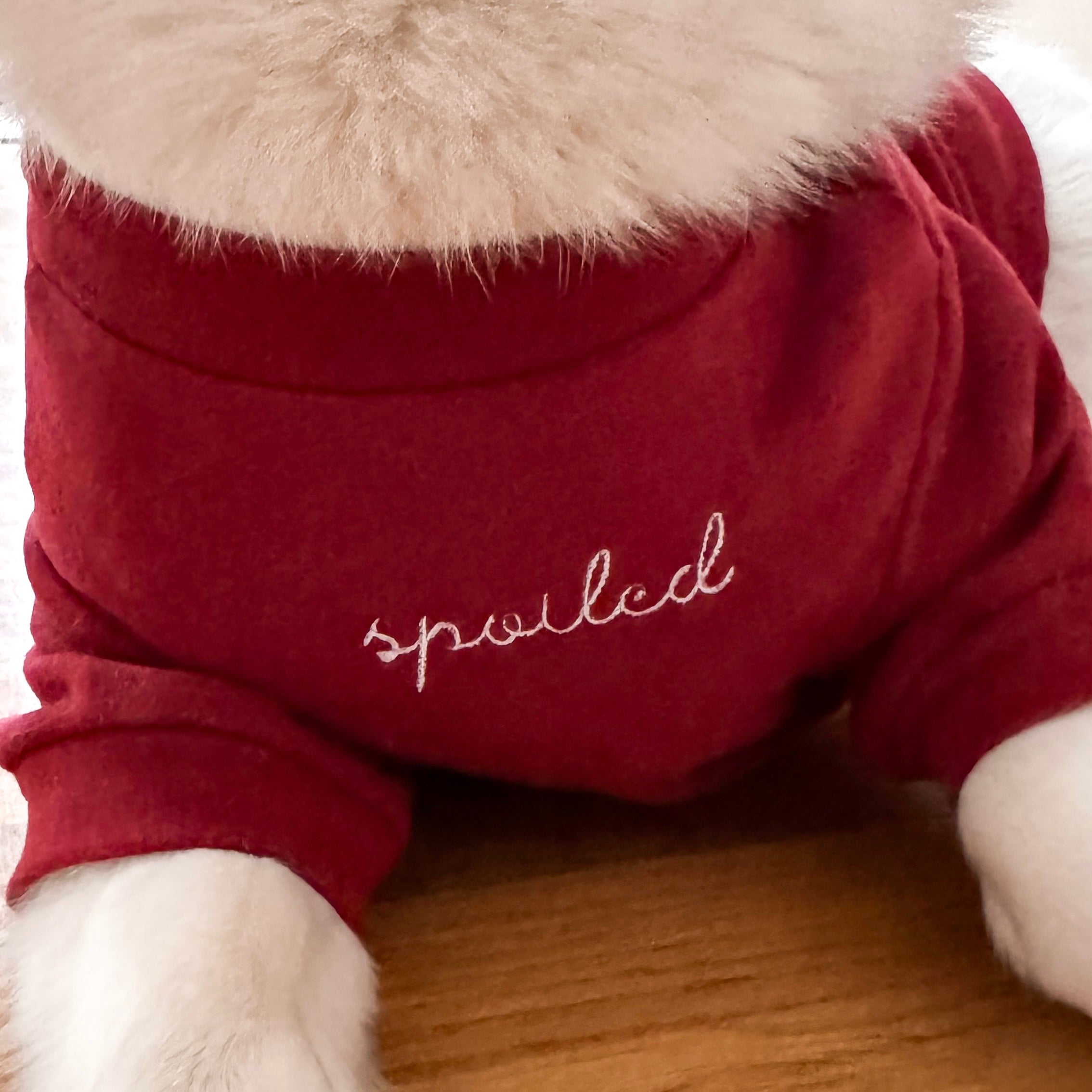 “Spoiled” Mock Neck Shirt - Lucky in Love