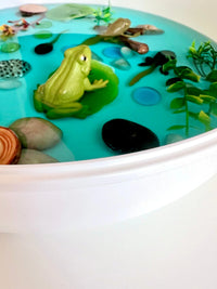 Pond Life Cycle Sensory Kit And Water Play - BIG FRENCHIES