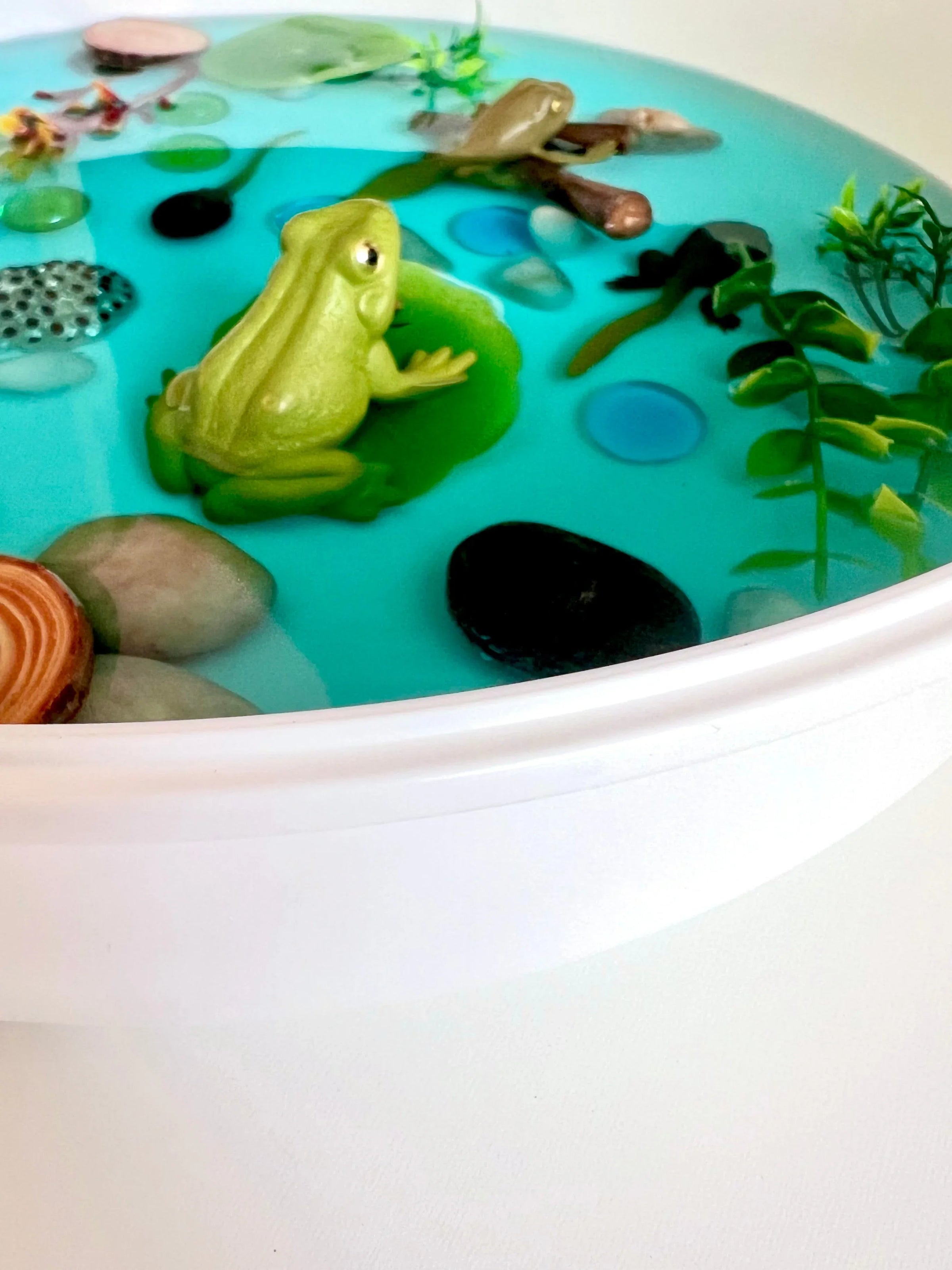 Pond Life Cycle Sensory Kit And Water Play - BIG FRENCHIES
