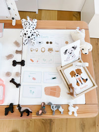 Vet Clinic Dramatic Play