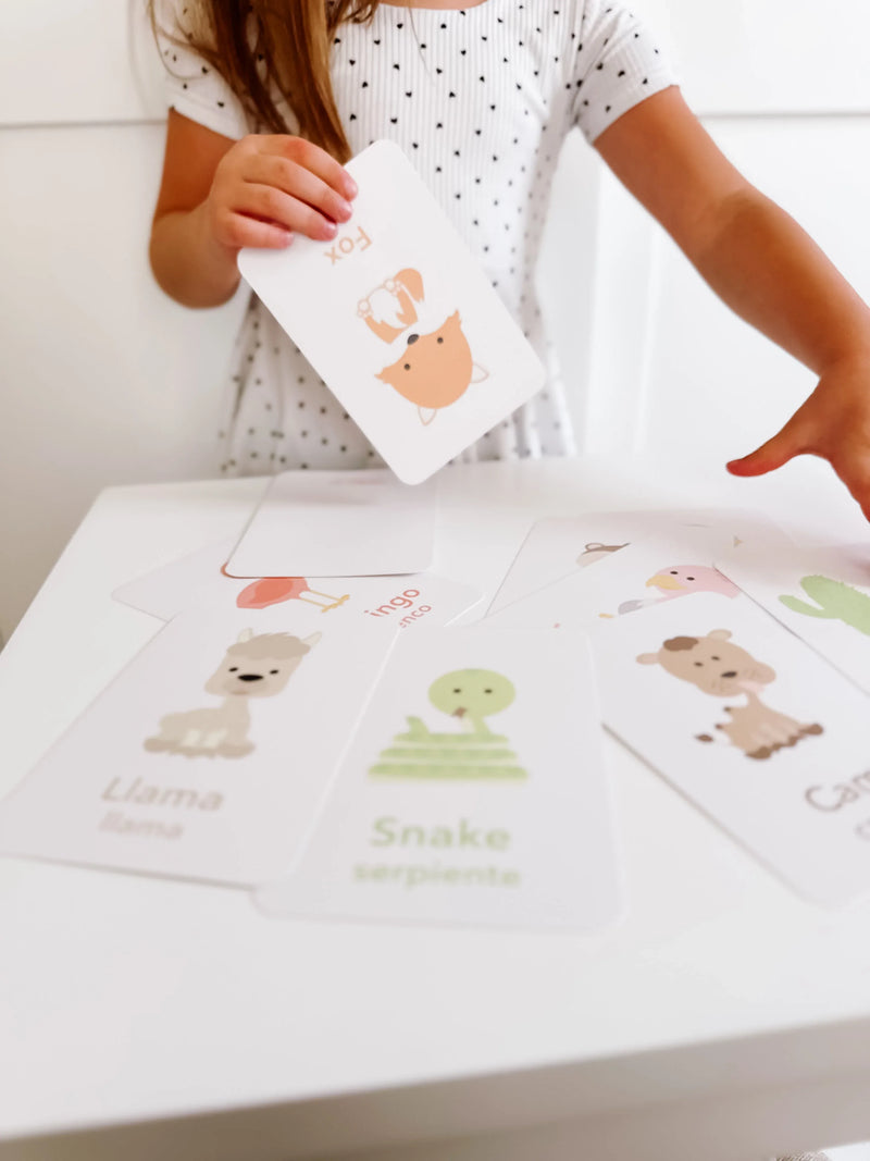 Desert Animal Flashcards - BIG FRENCHIES