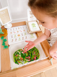 Desert Animals Printable Dramatic Play Kit