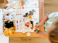 Vet Clinic Dramatic Play