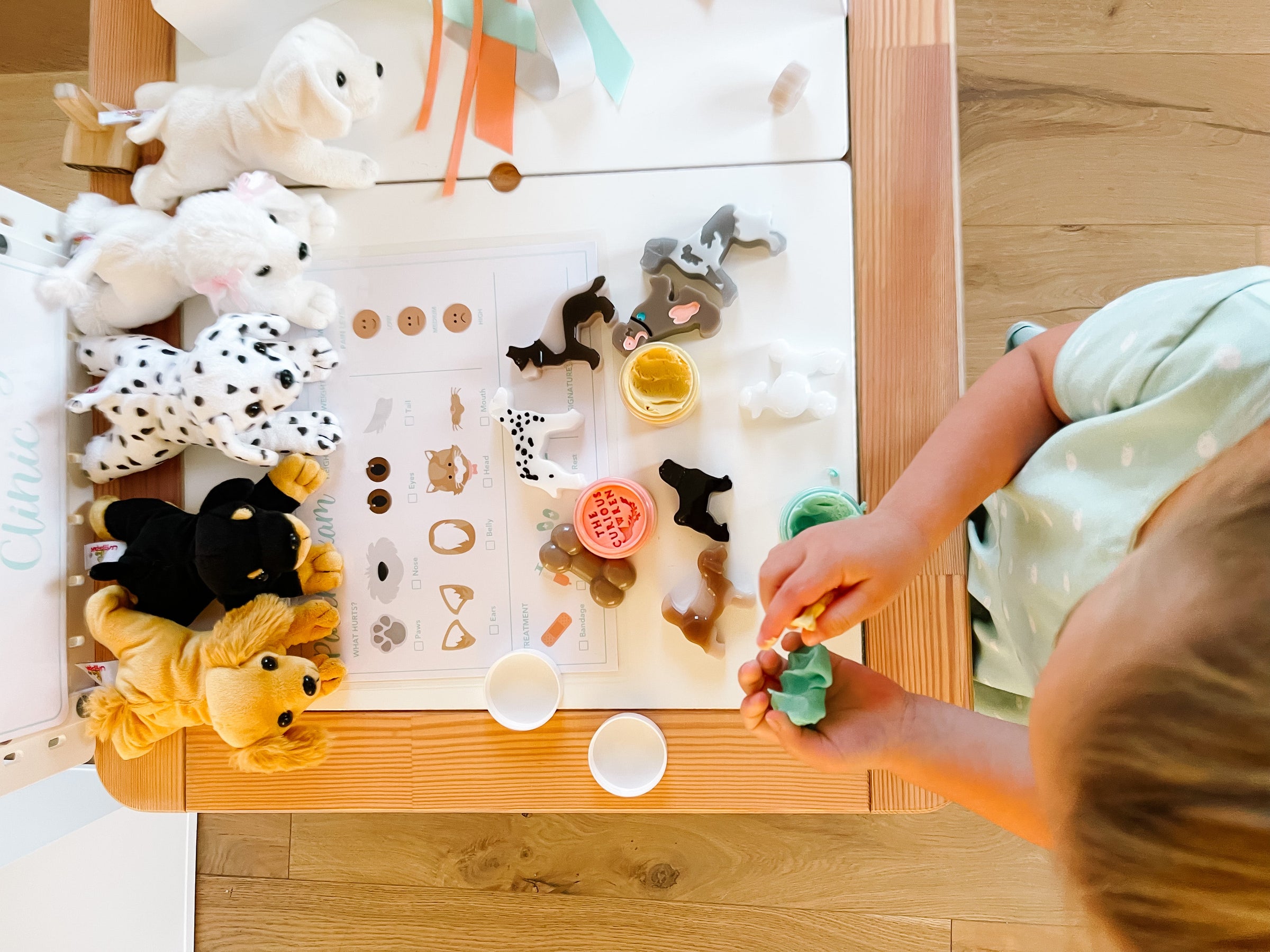 Vet Clinic Dramatic Play