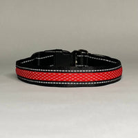 LED Dog Collar: Blue