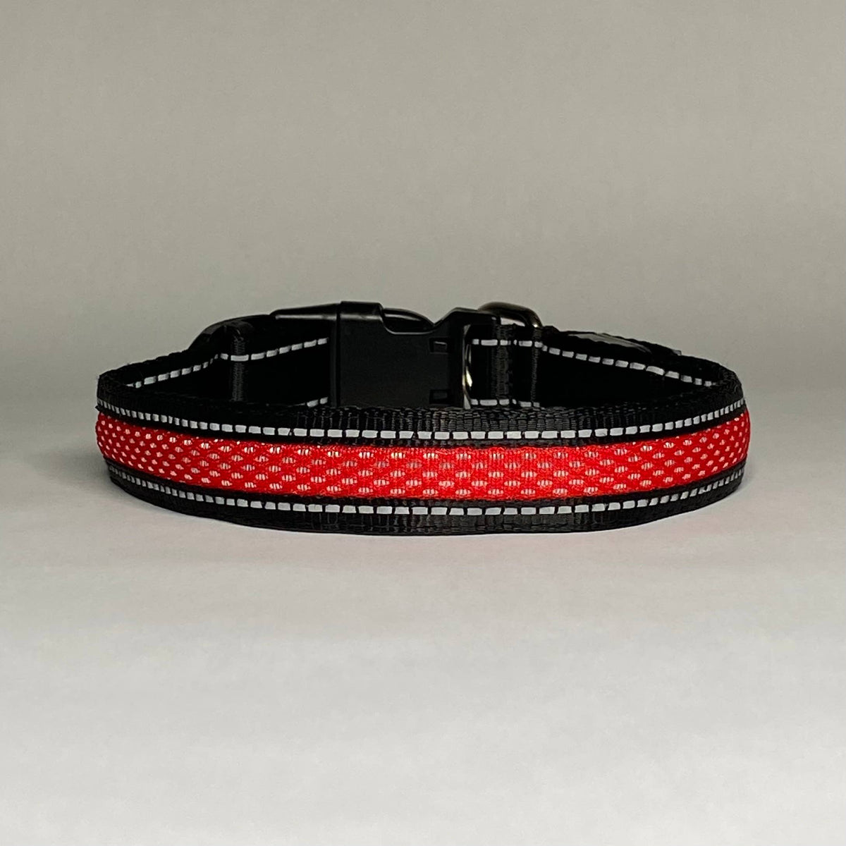LED Dog Collar: Blue