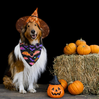 Halloween Dog Bandanas 2 Pack Reversible Pumpkin And Bat Pet Scarf For Boys And Girls Holiday Dog Bandana For Medium And