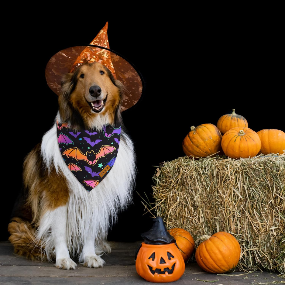 Halloween Dog Bandanas 2 Pack Reversible Pumpkin And Bat Pet Scarf For Boys And Girls Holiday Dog Bandana For Medium And