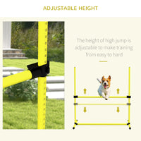Dog agility training equipment