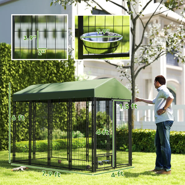 Dog House