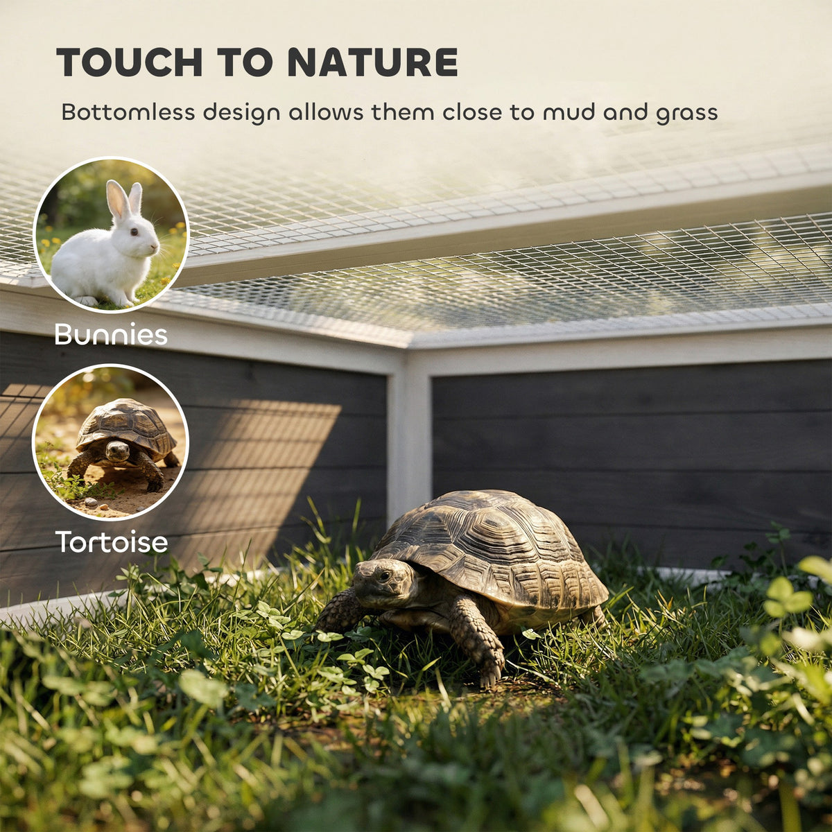 Tortoise Habitat Openable Top Wooden Tortoise Enclosure Run Area and Clear Window Dark Gray