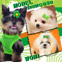 20Pcs Green Dog Hair Bows With Rubber Bands For Small Medium Dogs