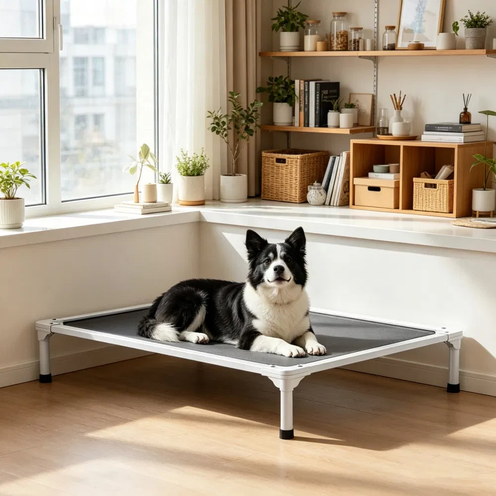 Elevated Dog Bed for Bedroom