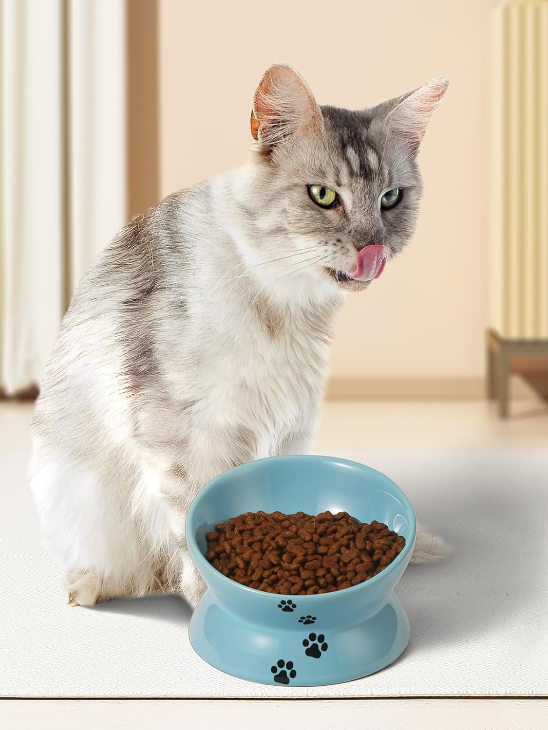 Elevated Cat Food Bowl, Ceramic Raised Cat Bowl, Tilt Angle Protect Cat'S Spine, anti Vomiting Cat Dish, Backflow Prevention, Lake Blue - BIG FRENCHIES