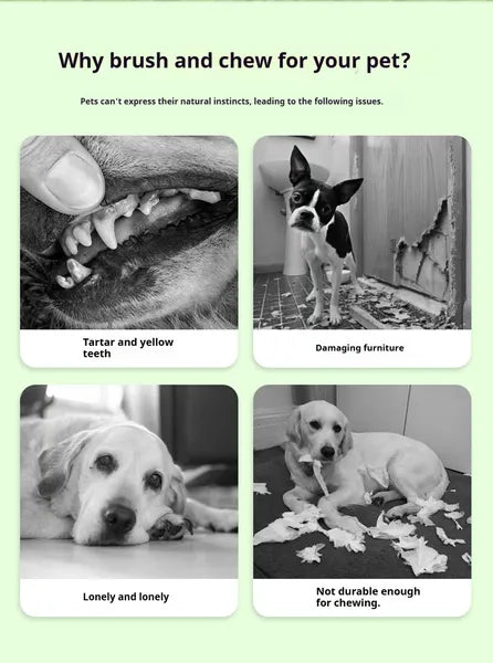 DOG Chew Toys For Teeth Cleaning,Pet Sausage Chew Brush,Pet Chew & Clean Buddy