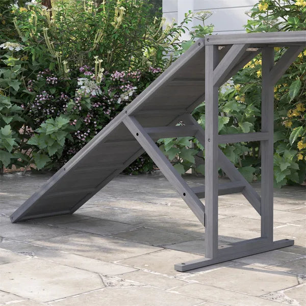 Dog Agility Ramp