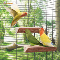 Parrot Cage Perch, Wooden Platform for Birds (2 Packs) - BIG FRENCHIES