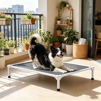 Elevated Dog Bed for Bedroom