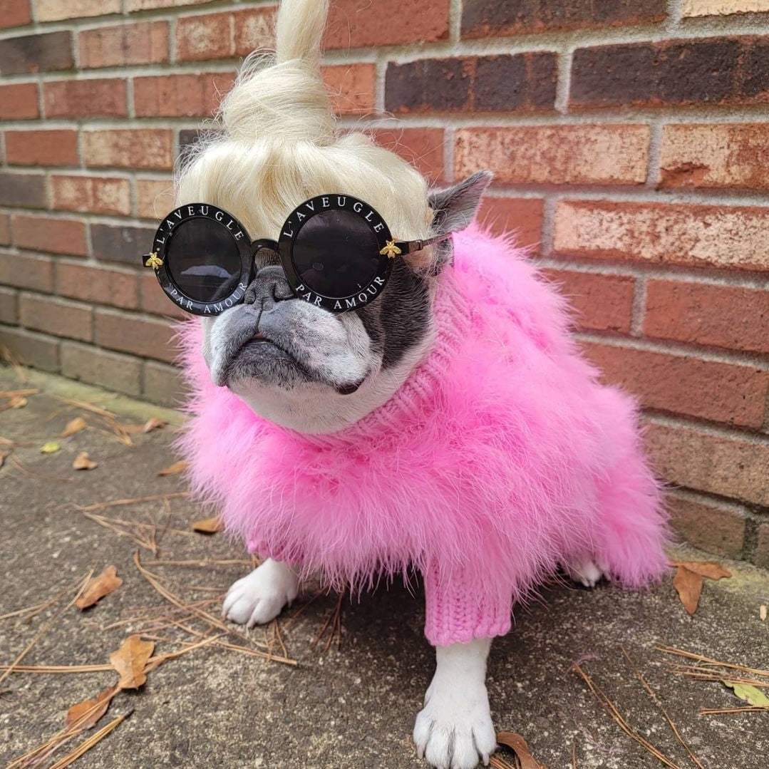Haute Couture Feathered Luxury Pet Sweater - BIG FRENCHIES