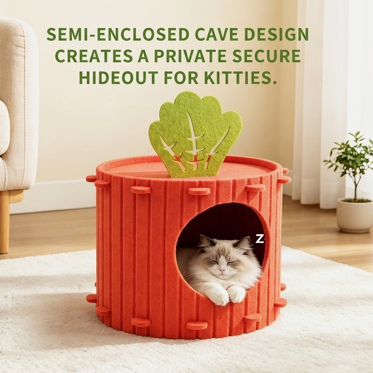 Only Self Pickup---Felt Radish Pet House
