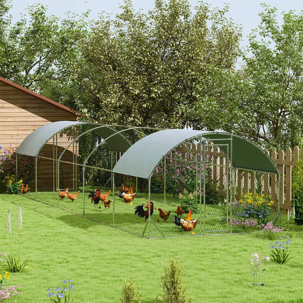 Metal Chicken, Chicken Coop