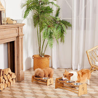 Elevated Dog Bowls for Cats and Dogs - BIG FRENCHIES