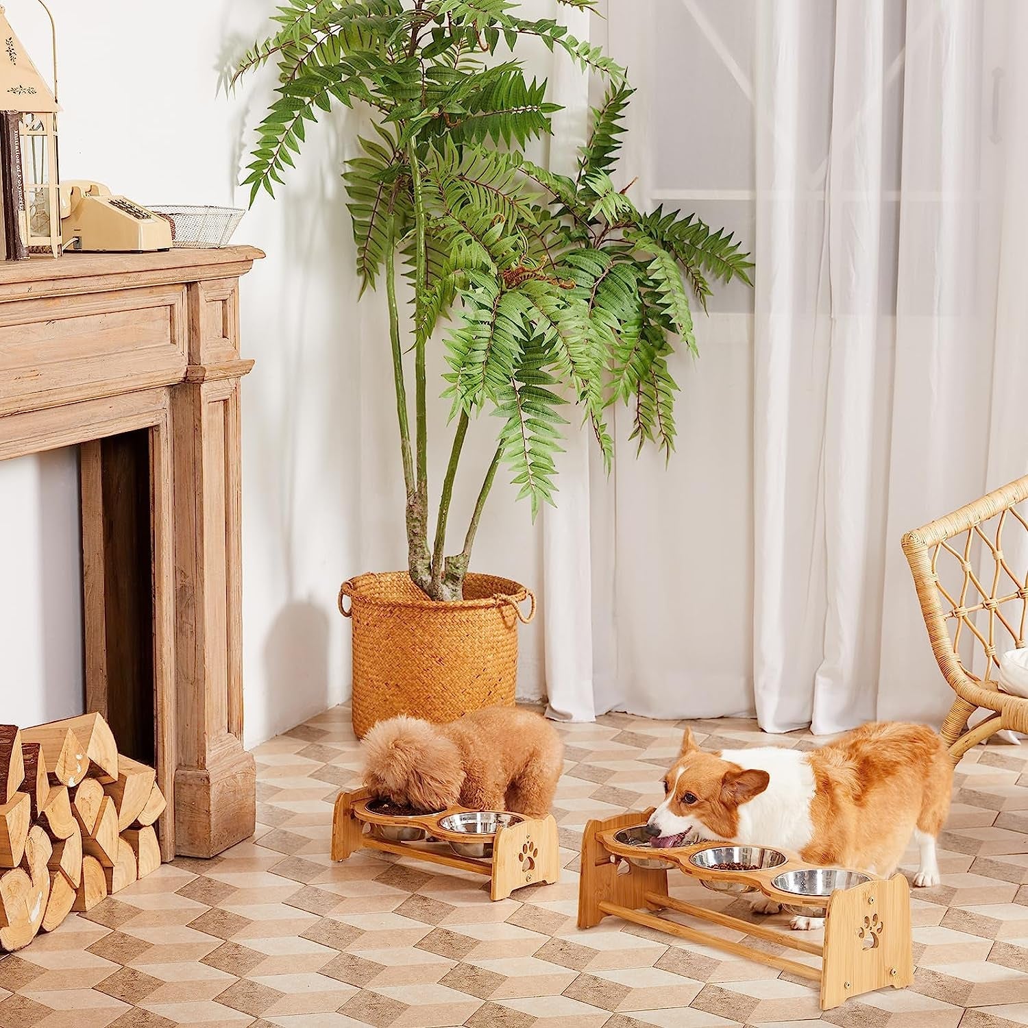 Elevated Dog Bowls for Cats and Dogs - BIG FRENCHIES