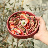 [Spark] Slow Feeder Dog Bowls - Red / Green / Blue