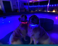 LED Dog Collar: Blue