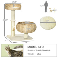 Elevated Cat Bed With Sisal Scratching Post For Indoor Kitties, Modern Cat Tree With Cute Basket Design, Small Cat Tree 