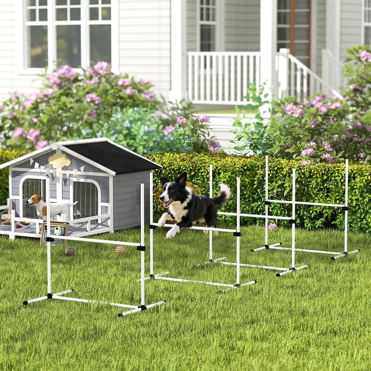 4 Piece Dog Agility Training Equipment for Dog Agility Course with Adjustable Height Jump Bars, Included Carry Bag, & Di