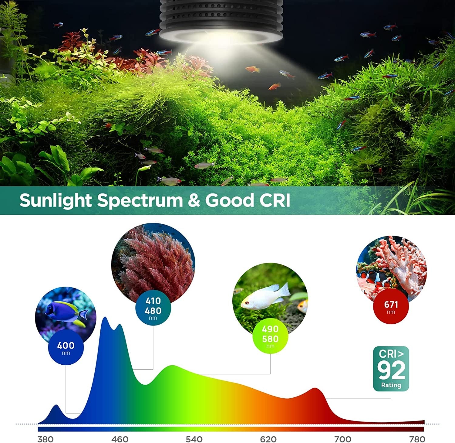 LED Aquarium Light, Planted Tank Light 4 Channels Remote Control - BIG FRENCHIES