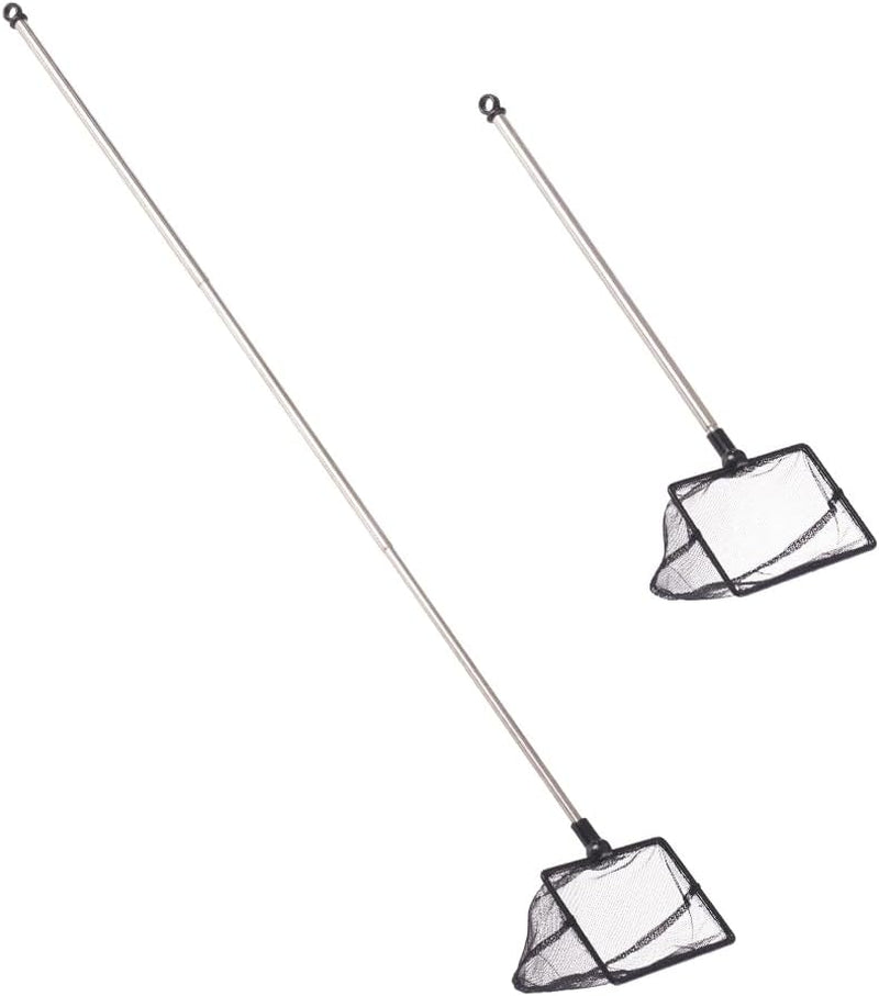 2.5 Inch Fish Net for Fish Tank - BIG FRENCHIES