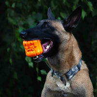 Jack O' Lantern Dog Toy - Durable Halloween Chew Toy for Large Dogs | USA Made - BIG FRENCHIES