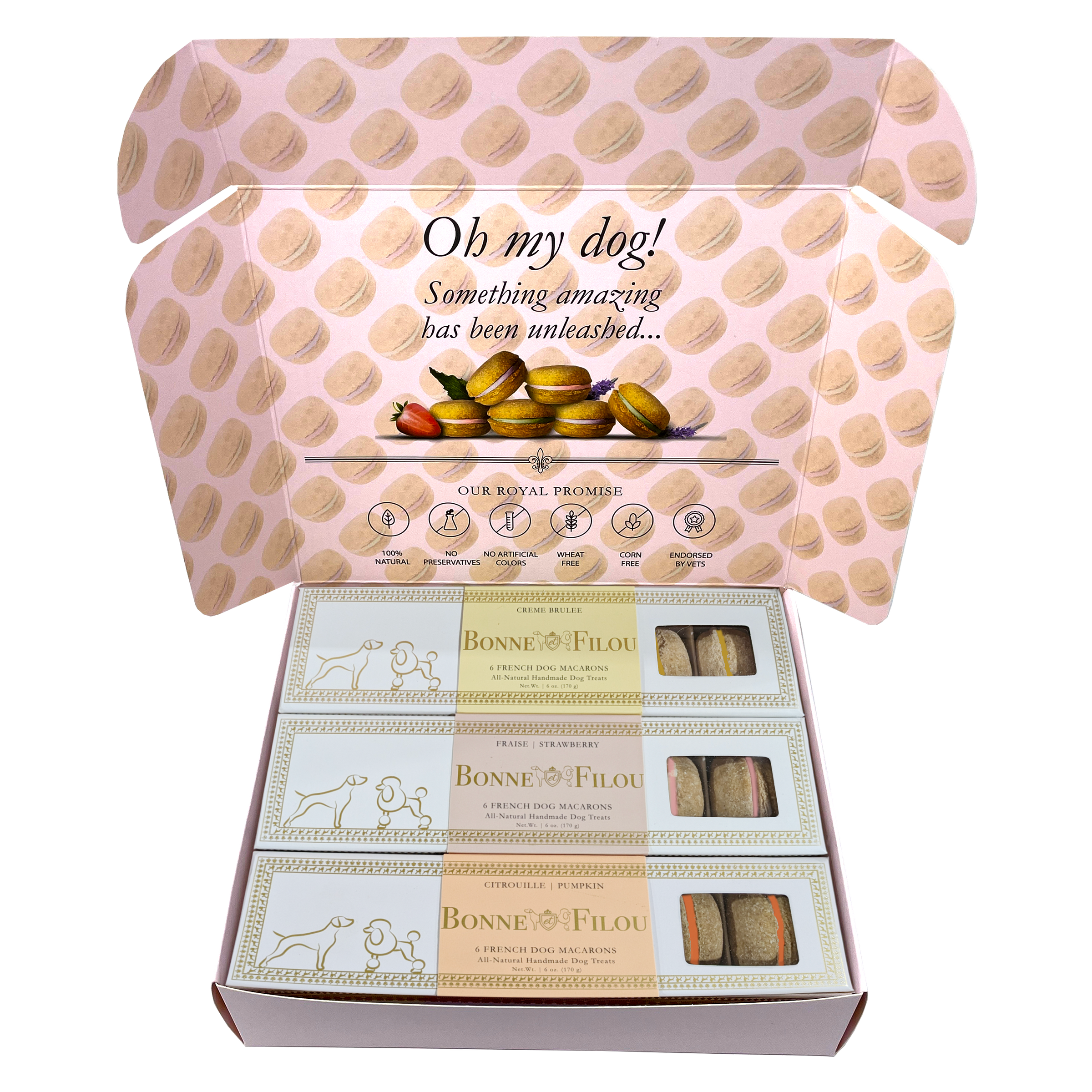 Dog Macaron Combo Gift Box (18 French Dog Macarons) - BIG FRENCHIES