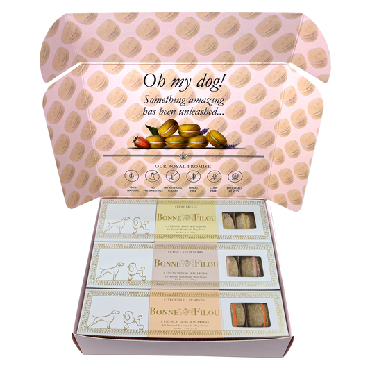 Dog Macaron Combo Gift Box (18 French Dog Macarons) - BIG FRENCHIES